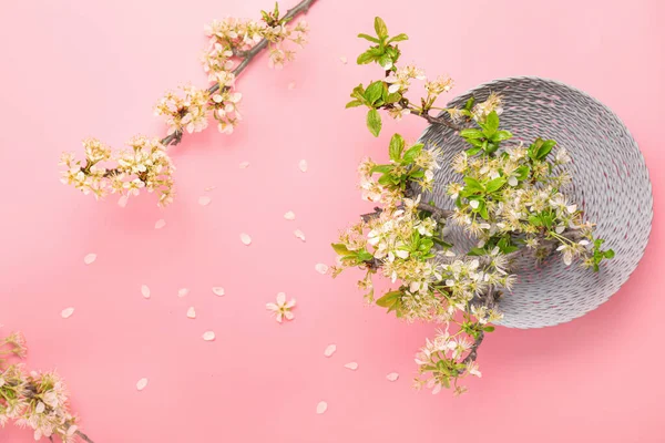 Vackra Blommande Grenar Färg Bakgrund — Stockfoto