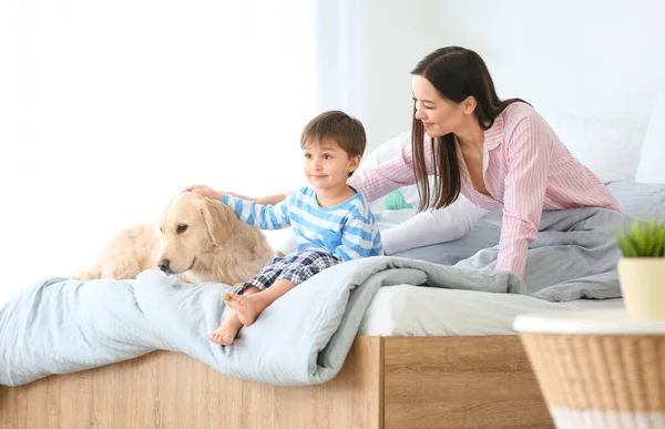 Happy Family Dog Bedroom Home — Stock Photo, Image