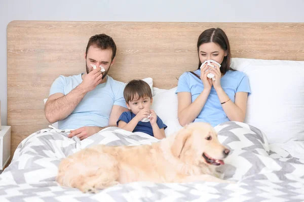 Familj Sjuk Med Influensa Sängen Hemma — Stockfoto