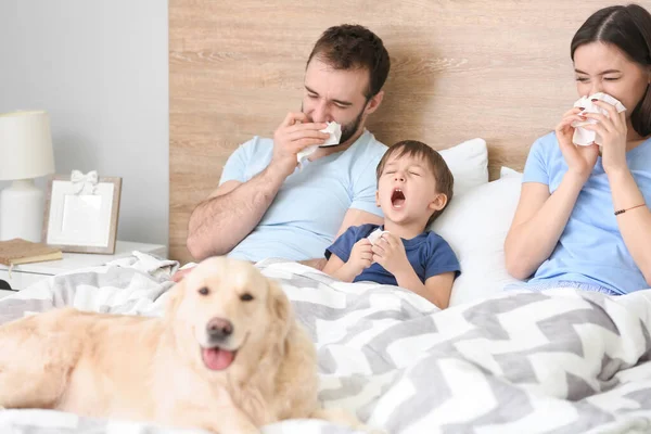 Familj Sjuk Med Influensa Sängen Hemma — Stockfoto