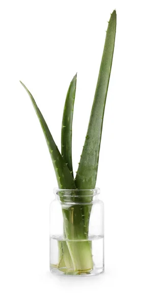 Bottle Aloe Essential Oil White Background — Stock Photo, Image