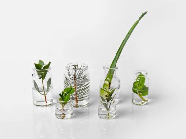 Beyaz arka planda farklı temel yağlara sahip şişeler