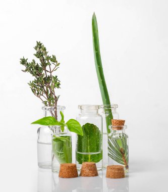 Beyaz arka planda farklı temel yağlara sahip şişeler