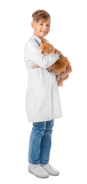 白い背景にかわいい猫を持つ小さな獣医師 — ストック写真