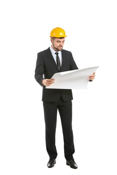 Male Construction Engineer on a White Background Background with Space for  Text. Architect with Drawings on a Construction Site Stock Image - Image of  adult, drawings: 246901555