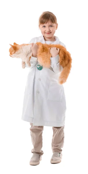 小兽医 有一只白色背景的可爱猫 — 图库照片