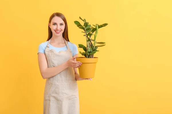 Porträt Einer Floristin Mit Pflanze Auf Farbigem Hintergrund — Stockfoto