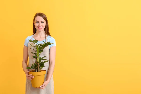 Portrait Female Florist Plant Color Background — Stock Photo, Image