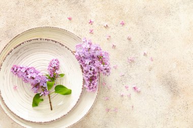 Açık arkaplanda güzel leylak çiçekleri olan bir tabak.