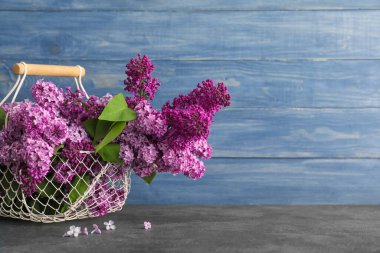 Masada sepetin içinde güzel leylak çiçekleri.