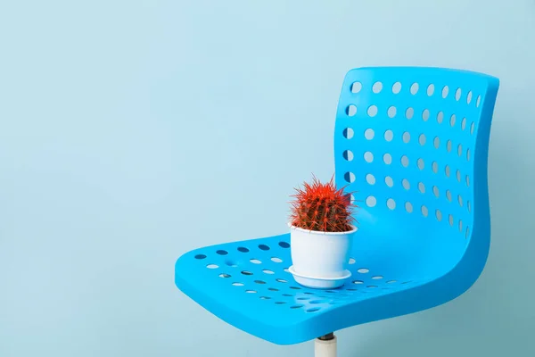 椅子上有彩色背景的仙人掌 痔疮概念 — 图库照片