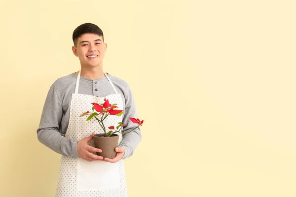 Porträtt Asiatiska Manliga Florist Med Växt Färg Bakgrund — Stockfoto