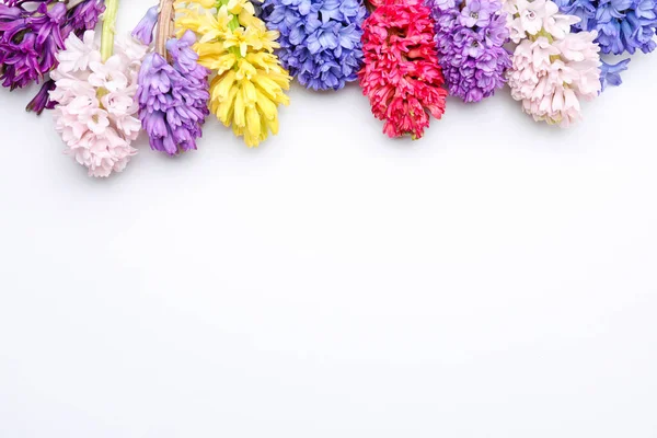 Beautiful Hyacinth Flowers White Background — Stock Photo, Image