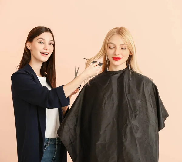 Young Hairdresser Working Client Color Background — Stock Photo, Image