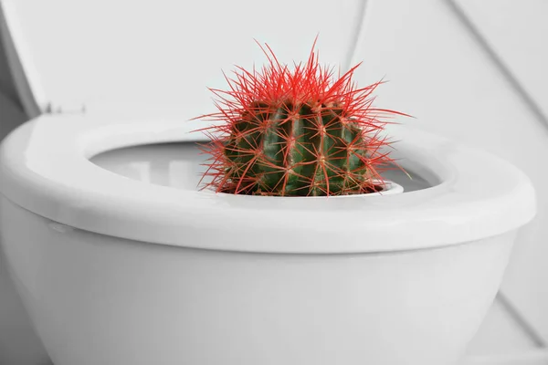 Toilet Mangkuk Dengan Kaktus Kamar Kecil Closeup Konsep Wasir — Stok Foto