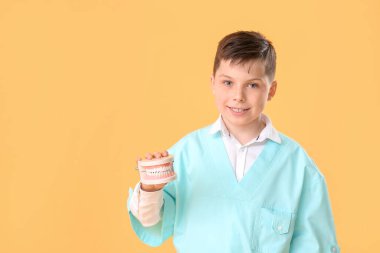 Renk arkaplanında çene modeli olan küçük dişçi
