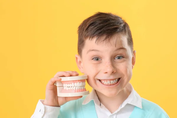 Pequeño Dentista Con Modelo Mandíbula Sobre Fondo Color —  Fotos de Stock