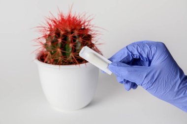 Doktorun elinde hemoroidal fitil ve arka planda kaktüs var.