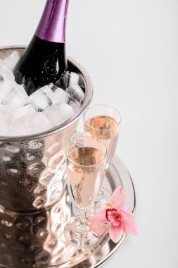 Buzlu kova, bir şişe şampanya ve arka planda bardaklar.