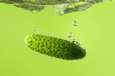 Taze salatalığın suya düşmesi renk arkaplanına karşı