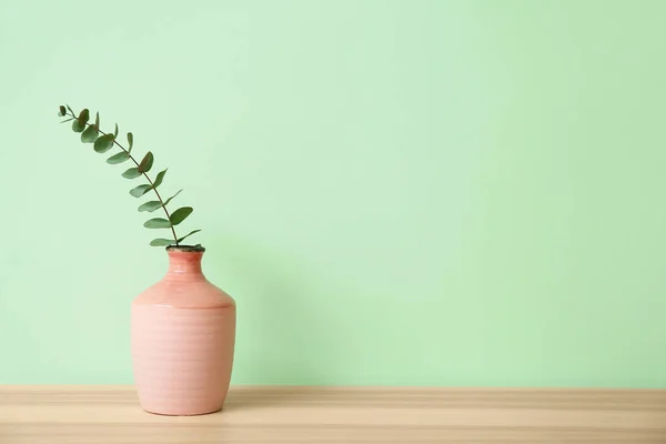 Stylish Vase Eucalyptus Table Color Wall — Stock Photo, Image