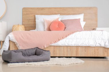 Rahat evcil hayvan yatağı olan bir oda.