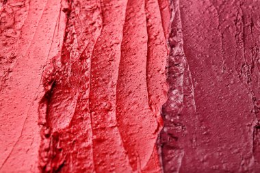 Parlak ruj örnekleri, yakın plan.