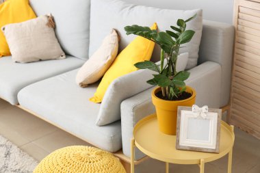 Rahat kanepesi olan modern bir oda.