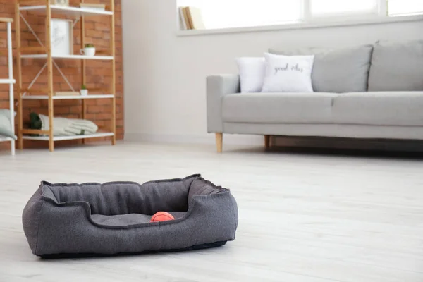 Comfortable Pet Bed Floor Living Room — Stock Photo, Image