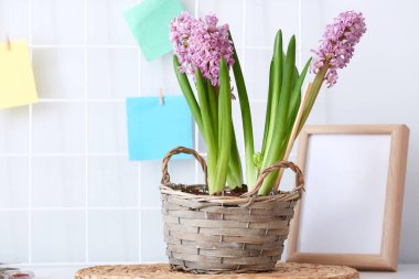 Masada sümbül çiçekleri olan sepet.