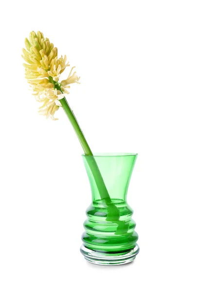 Vas Med Vacker Hyacint Blomma Vit Bakgrund — Stockfoto