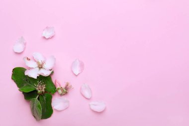 Renkli arka planda yaprakları olan güzel çiçek.