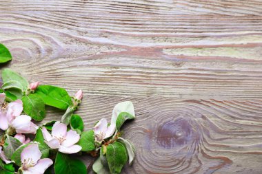 Ahşap arka planda çiçek açan güzel dallar.