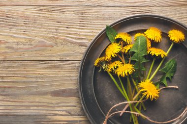 Ahşap arka planda güzel karahindiba tabakları