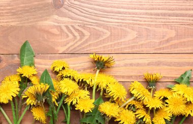 Ahşap arka planda güzel karahindibalar