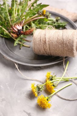 Tabak, karahindiba ve iplik.