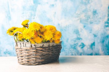 Masadaki sepetteki güzel karahindibalar