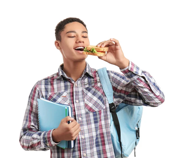 Pupil Eating Sandwich White Background — Stock Photo, Image