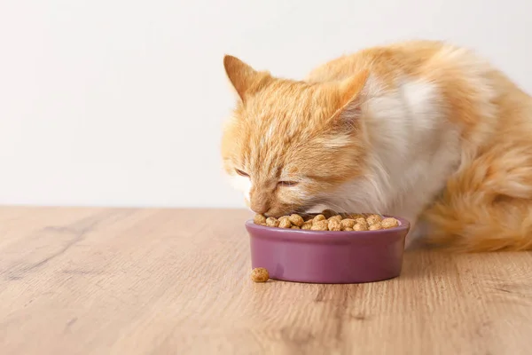 Cute Funny Cat Eating Food Bowl Home — Stock Photo, Image