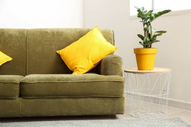 Rahat kanepesi olan modern bir oda.