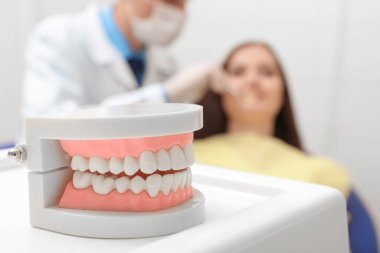 Bulanık arkaplanda diş çene modeli, görünümü kapat