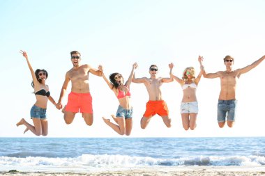 Mutlu arkadaş sahilde eğleniyor