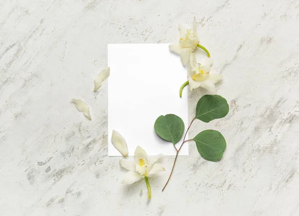 Composition Blank Card Flowers Light Background — Stock Photo, Image