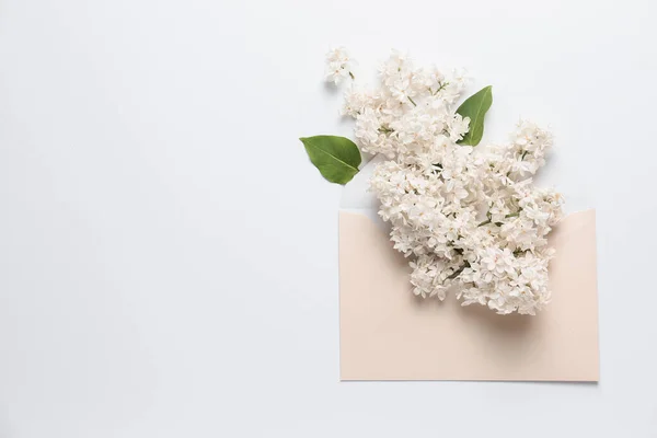 Piękne Kwiaty Lilii Koperta Białym Tle — Zdjęcie stockowe