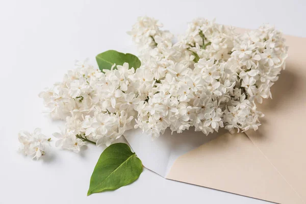 Красиві Бузкові Квіти Конверт Білому Тлі — стокове фото