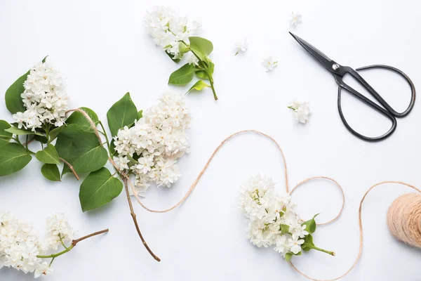 Όμορφα Πασχαλινά Λουλούδια Κλωστή Και Ψαλίδι Λευκό Φόντο — Φωτογραφία Αρχείου