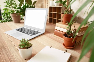 Modern laptop ve yeşil ev bitkileriyle rahat bir iş yeri.