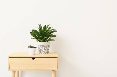 Masadaki yeşil bitkiler açık arkaplanda