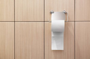 Tuvaletteki duvarda tuvalet kağıdı rulosu olan tutucu.