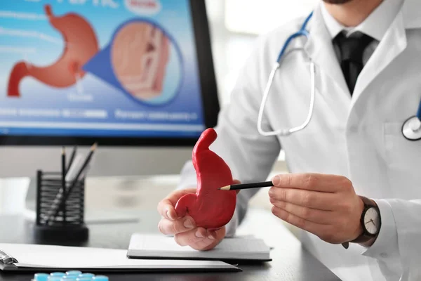 Gastroenterolog Med Magmodell Kliniken Närbild — Stockfoto